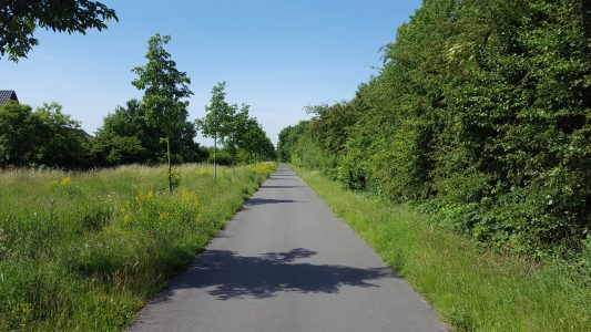 Lückenhafte Beleuchtung des Alleenradweges nicht ausreichend